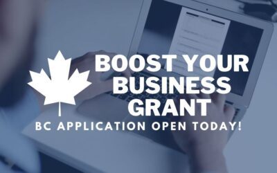 Applying for the Boost Your Business Online Grant